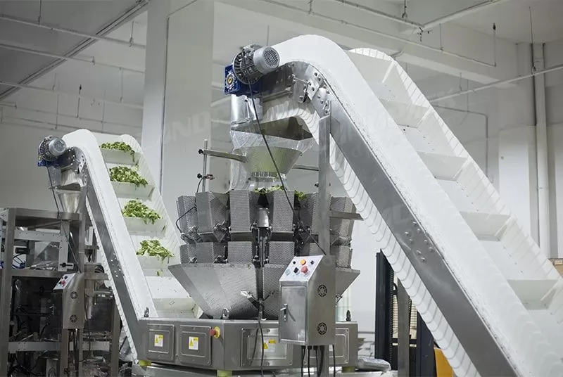 fruit and vegetable packaging equipment