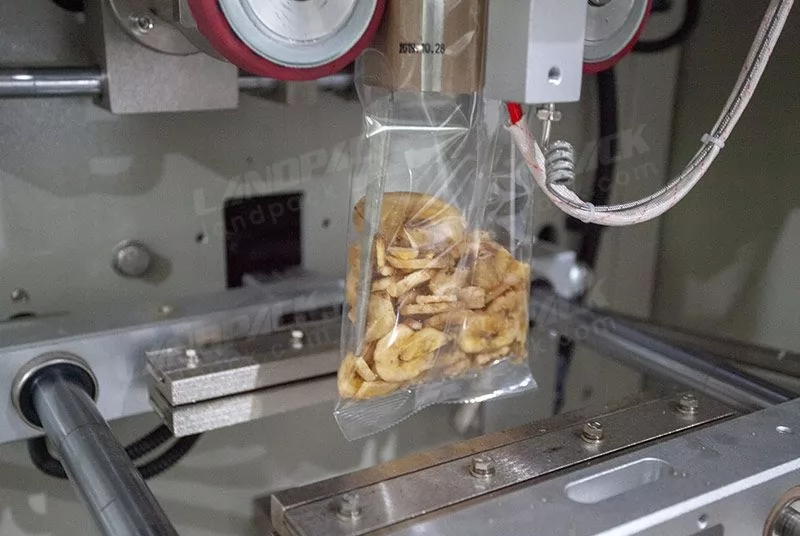 dry fruit packing machine