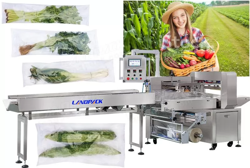 Empaquetadora automática de frutas y verduras