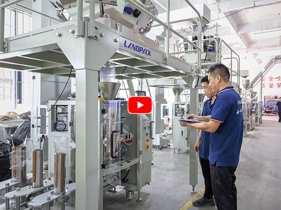 empresa de tiro real